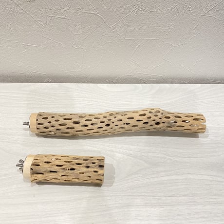 【yuko77様専用】カクタスパーチ  小サイズ（直径約3-4cm）28cm/10cm