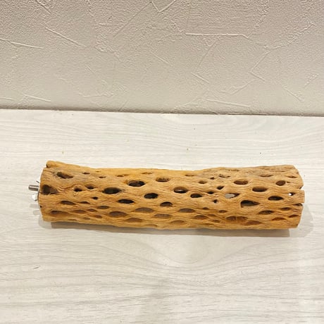 カクタスパーチ【28】直径4~5cm/長さ20cm
