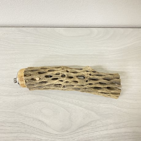 カクタスパーチ⑤ 小サイズ 直径（約3-4cm）長さ/15.5cm