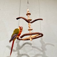 ゆらゆらUFOブランコ② 【自然木の止まり木 インコのおもちゃ】  セキセイインコ・コザクラインコ・ウロコインコ】