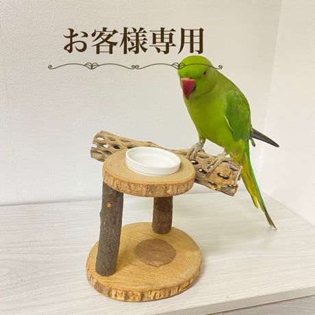 【makie_hosoda様専用】カクタスのT字スタンドパーチ・おやつ入れ付きテーブルパーチ