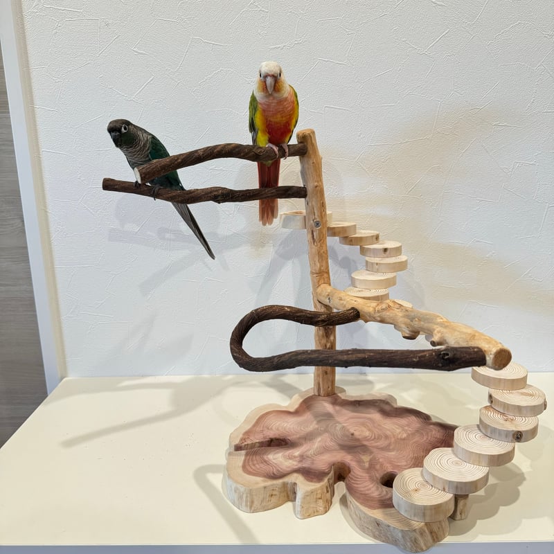 ツタと螺旋階段のバードアスレチック【インコのおもちゃ・自然木の