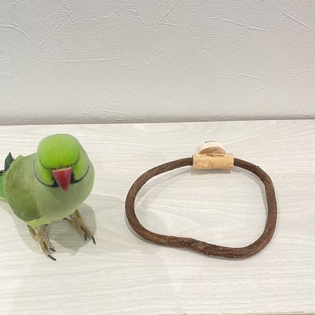 自然木（ツタ）のドーナツパーチビックサイズ  Ｎパーチ直径1cm／円直径14.5×17cm