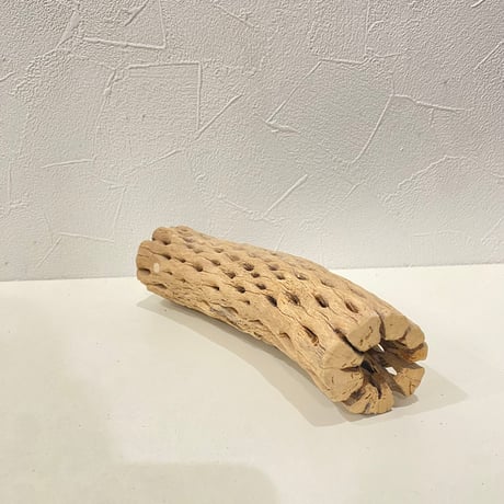 カクタスパーチ⑩  直径約5cm/長さ19cm