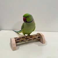 幼鳥・老鳥・介護サポート用　置き型カクタスパーチ① 全長17.5cm/カクタス長さ15cm 【インコ 止まり木 バンブルフット】  のコピー
