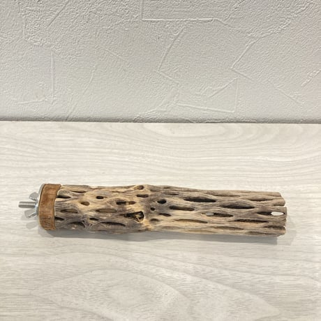 カクタスパーチ⑨  極小 直径3cm前後 長さ15cm