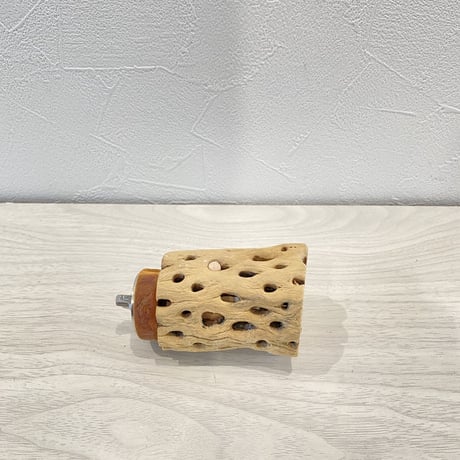 カクタスパーチ④ 小サイズ直径4cm前後/6.5cm