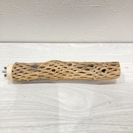 カクタスパーチ小⑧ 直径約3~4cm 長さ20cm