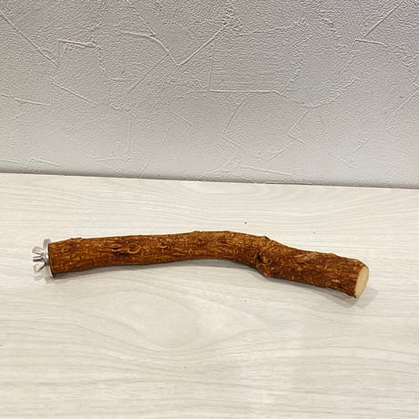 自然木（ツタ）パーチ 直径約2.2cm/長さ23cm