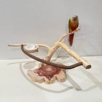 ツタとカイヅカイブキのおやつ入れ付きスタンドパーチ  【インコ 自然木 止まり木 】