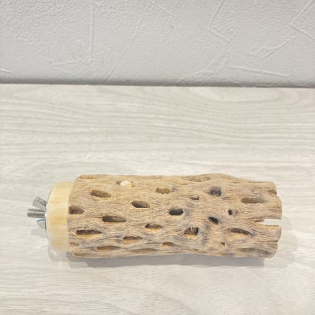 カクタスパーチ①  小　直径4cm前後 長さ10cm