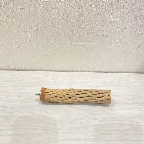 カクタスパーチ【22】 極小直径2-3cm/15cm