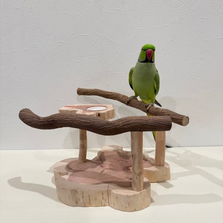 ツタのおやつ入れ付きスタンドパーチ【インコ 天然木 自然木 パーチ 止まり木】