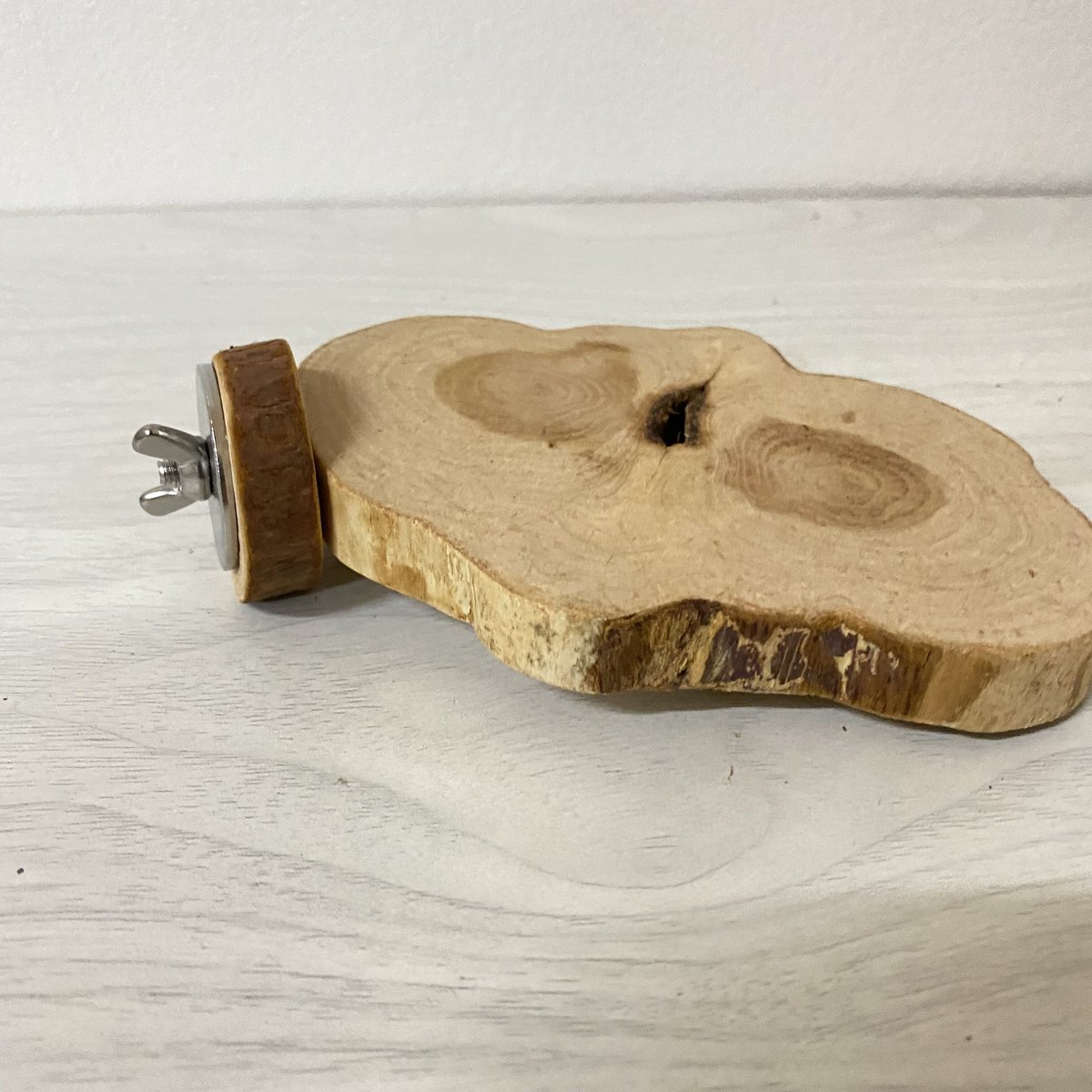 カイヅカイブキの丸太テーブルパーチ③ 円直径12×8cm | 自然木の鳥用品