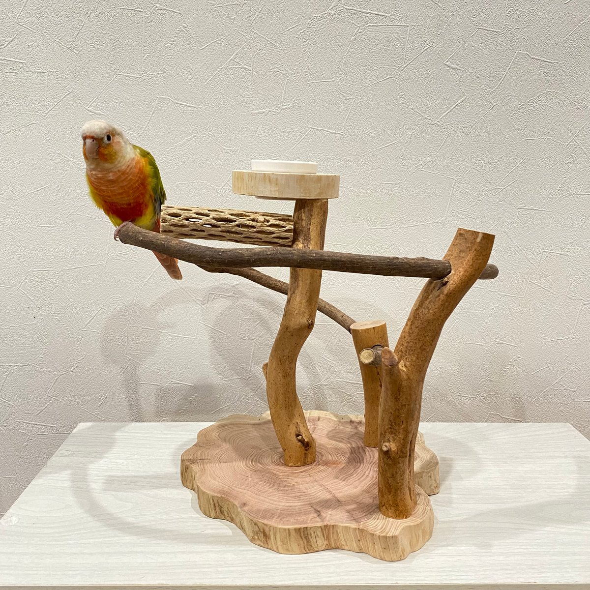 ツタのぐるぐるバードアスレチック②【インコのおもちゃ・自然木の