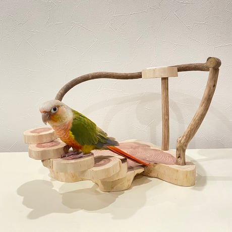 ちょこっとオヤツ入れ付きツタとカイヅカの螺旋階段のスタンドパーチ【インコのおもちゃ・ブランコ・自然木のとまり木】バードアスレチック