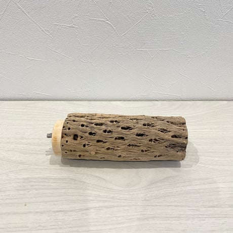 カクタスパーチ⑥ 中直径5.5cm 長さ15cm