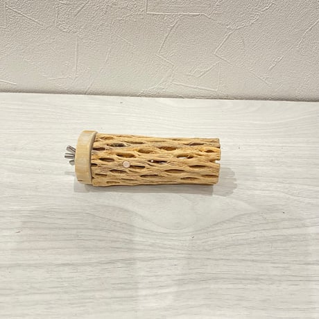 カクタスパーチ⑫  直径3~4cm／長さ10㎝