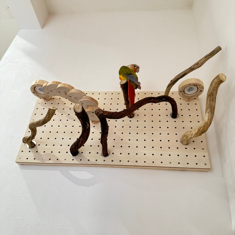 自由にカスタム 壁掛けバードアスレチック【B】 | 自然木の鳥用品 鳥豆