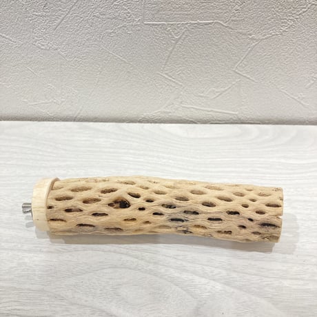 カクタスパーチ【6】小 直径約3.5cm 長さ15cm