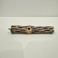 カクタスパーチ極小サイズ 直径2.7-3cm/長さ15cm⑦【自然木 止まり木 バンブルフット 趾瘤症 】