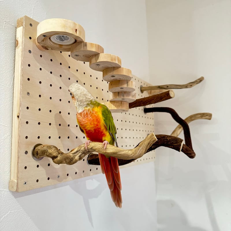 現物１点　壁掛　バードジム　✨　カスタム　パンチングボード　流木　アスレチック バードジムの人気通販 | minne byGMOペパボ 国内最大級のハンドメイド