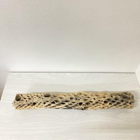 ケージサイズカクタスパーチ① 中サイズ直径約5.5cm HOEI465サイズ