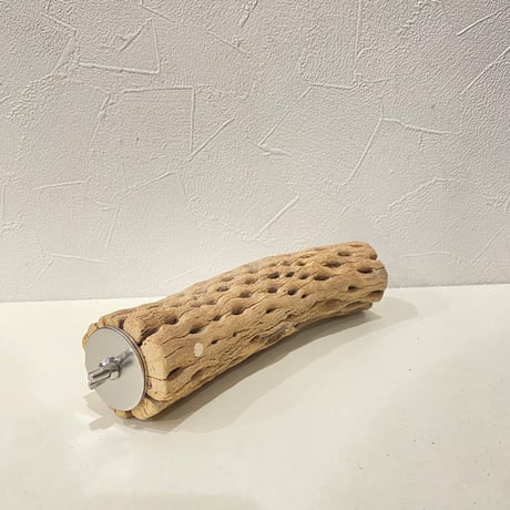 カクタスパーチ⑩  直径約5cm/長さ19cm
