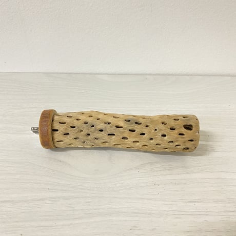 カクタスパーチ 極小サイズ② 直径（約2-3cm）長さ/15cm