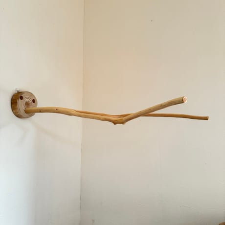 桧のピノキオの鼻②