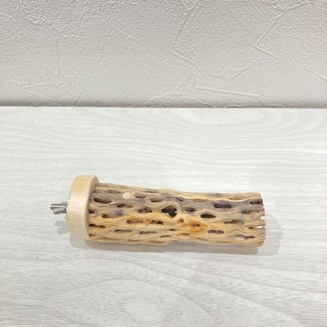 カクタスパーチ【2】極小 直径約3cm 長さ10cm