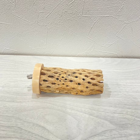 カクタスパーチ小 ② 直径3~4cm 長さ10cm