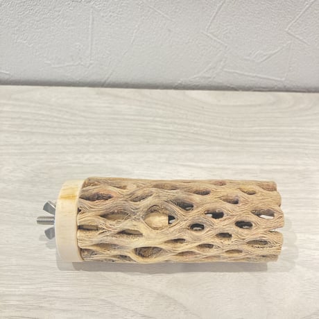 カクタスパーチ②  小　直径4cm前後 長さ10cm