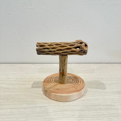 【体重測定用】カクタスのスタンドパーチ③ 長さ12cm／足高さ8cm