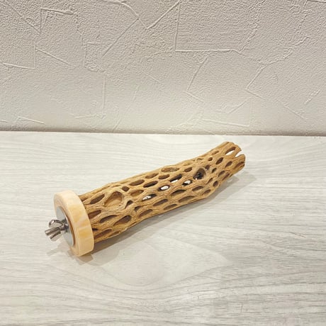 カクタスパーチ小 ⑤直径3~4cm 長さ15cm