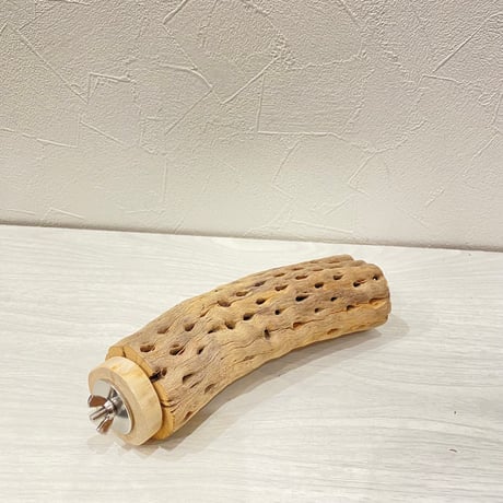 カクタスパーチ⑱中4.5~5.5cm長さ17㎝