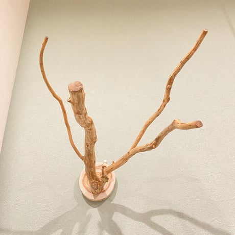 ピノキオの鼻 ⑤ 中型から大型用
