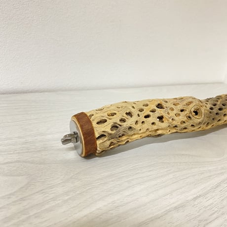 カクタスパーチ③ 極小サイズ 直径（約2-3cm）長さ/25cm