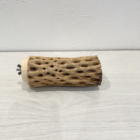 カクタスパーチ⑧ 中直径5.5cm 長さ13cm