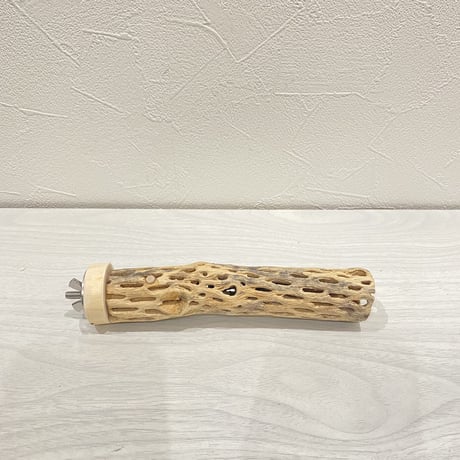 カクタスパーチ④  極小 直径3cm前後 長さ15cm