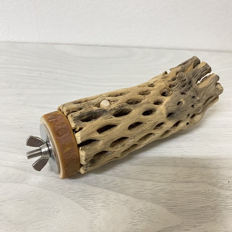 カクタスパーチ 小サイズ③ 直径（約3-4cm）長さ/11cm