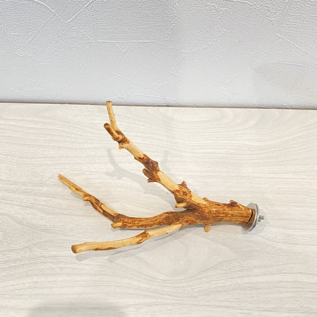 自然木（カイヅカイブキ）のパーチ⑦　直径0.8-2cm／長さ21cm