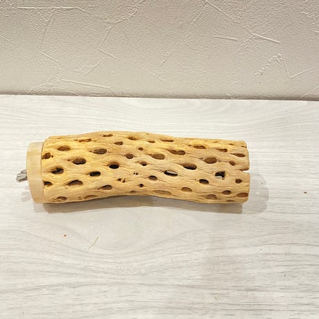 カクタスパーチ【D】直径4~5cm/長さ15cm
