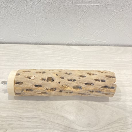 カクタスパーチ⑧  小　直径4cm前後 長さ15cm