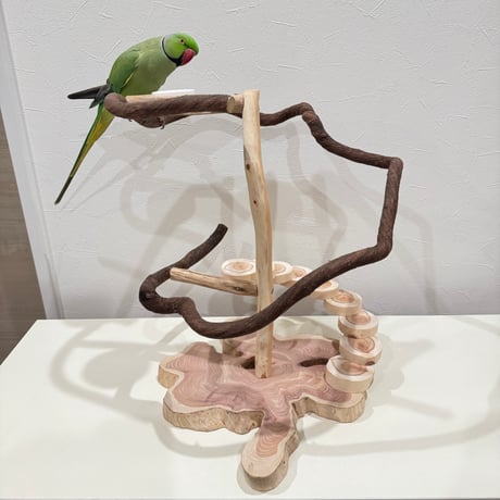 ツタと螺旋階段のぐるぐるバードアスレチック【インコのおもちゃ・ブランコ・自然木のとまり】