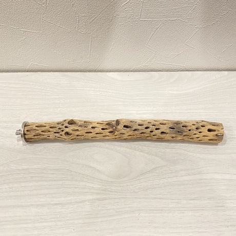 【M様専用】カクタスパーチ 極小26cm