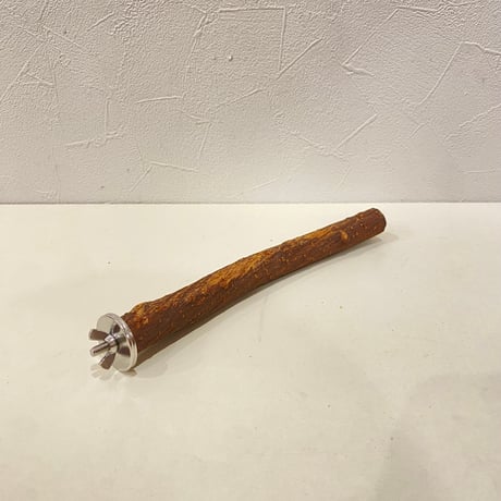 自然木（ツタ）パーチ⑤直径約2cm/長さ21cm