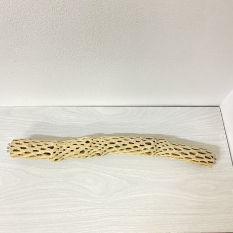 ケージサイズカクタスパーチ④ 小サイズ直径3-4cm HOEI465サイズ