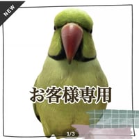 【pa-ruz purin lapisu様専用】パーチつきおやつ入れテーブル