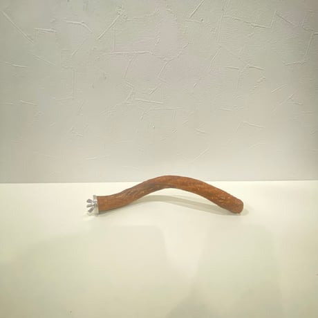 自然木（ツタ）パーチ 直径約2.3cm/長さ22cm